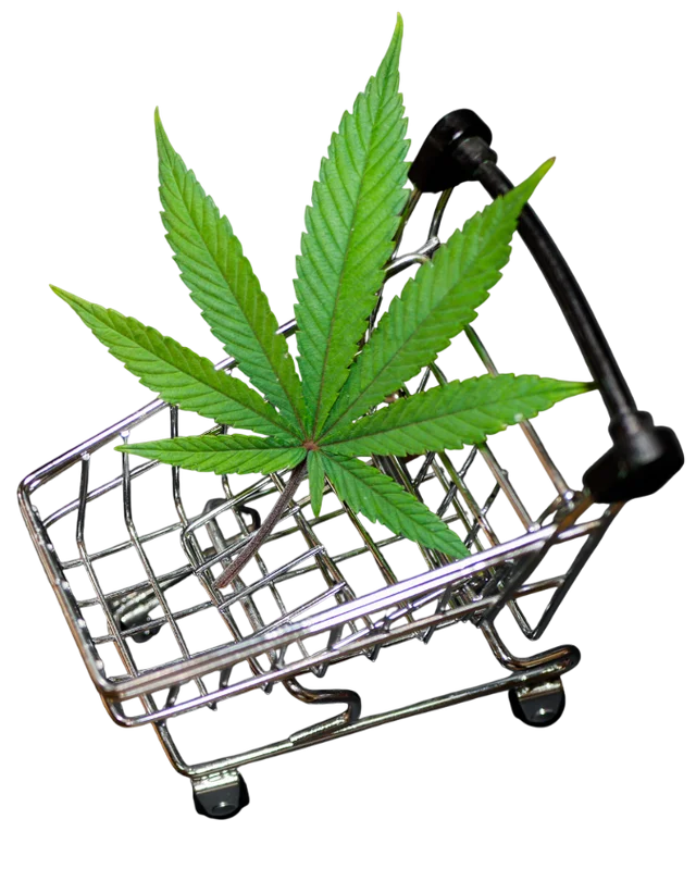 buy marihuana with delivery in prague