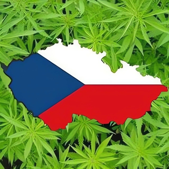 cannabis and law in czech republic